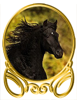 http://co.forum4.ru/files/0013/b0/0f/13763.png