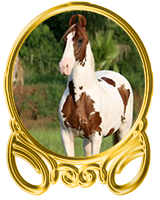 http://co.forum4.ru/files/0013/b0/0f/35025.png