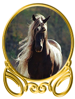 http://co.forum4.ru/files/0013/b0/0f/49442.png