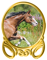 http://co.forum4.ru/files/0013/b0/0f/69465.png